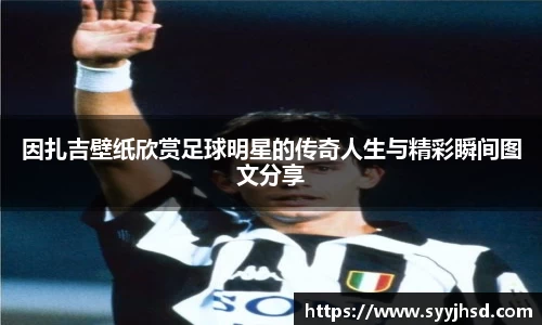 IM电竞官网